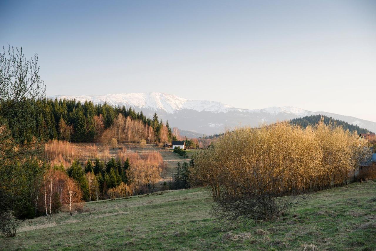 Domek na Zawojskim Przysłopiu Zawoja Zewnętrze zdjęcie